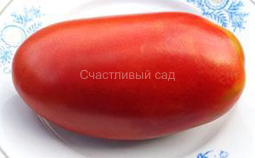 Испанский гигант