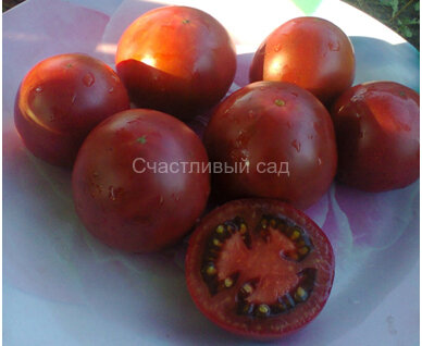 Marizol Korney (Маризол Корней)