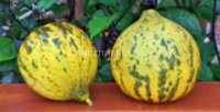 Дыня Турецкая леопардовая (Turkish Leopard)