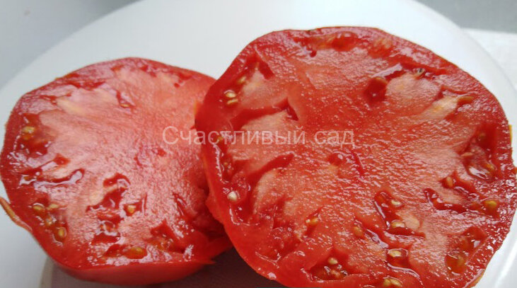 Секрет моей тещи