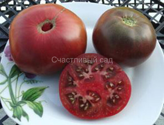 Negrillo de Almoguera (Негрилло де Альмогуера)