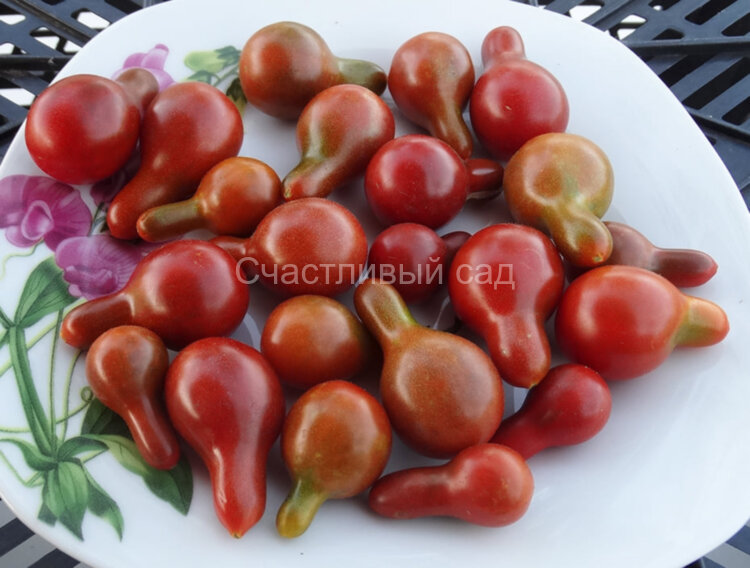 Cafe Bule (Кафе Буле)