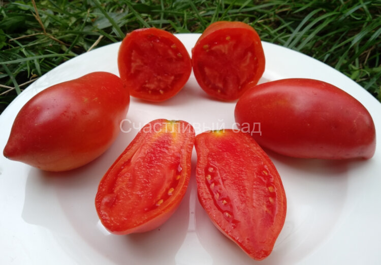 Мустанг малиновый